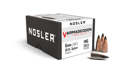 NOSLER 6MM 70GR VARMAG FB TIPPED (250)